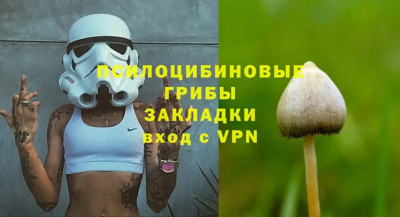 Псилоцибиновые грибы Magic Shrooms  где купить   Старый Оскол 